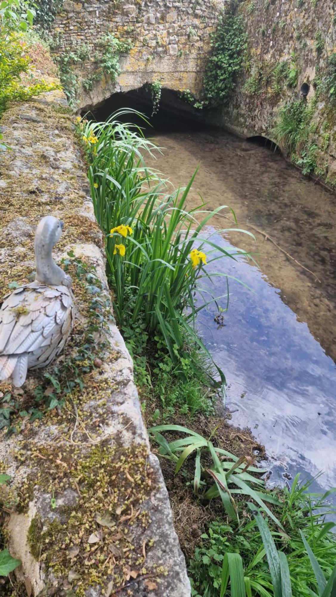 Gite Du Moulin De Barutel Mamers,Avec Spa Et Hammam Sur Reservation Payant Exteriör bild